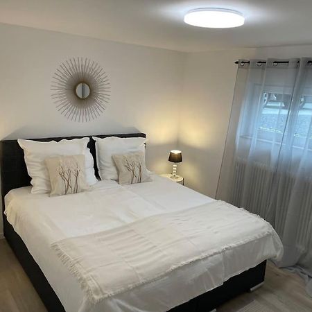 Gemuetliche&Moderne Ferienwohnung Naehe Trier & Luxemburg Bollendorf Exteriör bild
